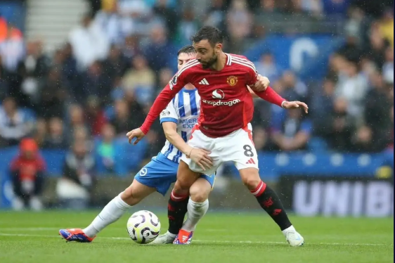 开元官方网站-西城朱雀队鏖战剑门战狼队，排球总决赛火力全开，转换速度占优。反击锐度十足的简单介绍